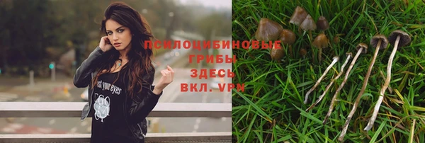 mdma Михайлов