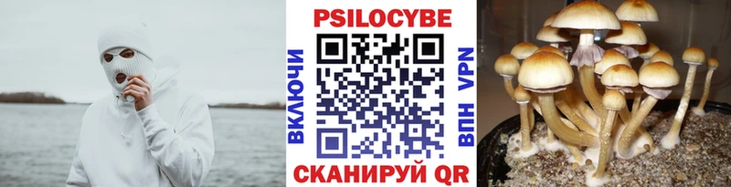 купить наркотики сайты  Качканар  Галлюциногенные грибы GOLDEN TEACHER 