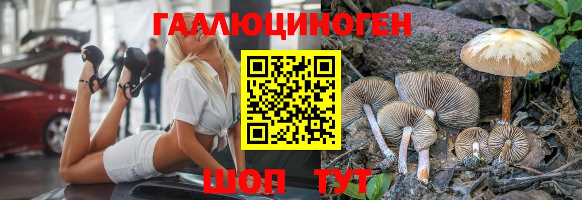 Псилоцибиновые грибы Magic Shrooms Качканар