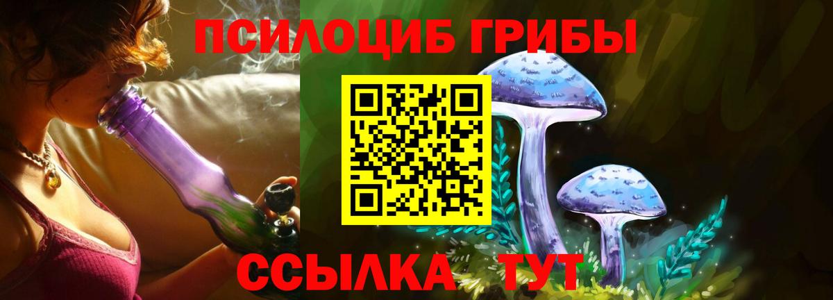 Галлюциногенные грибы Psilocybe  Галлюциногенные грибы Psilocybe  Качканар  Вход с VPN 
