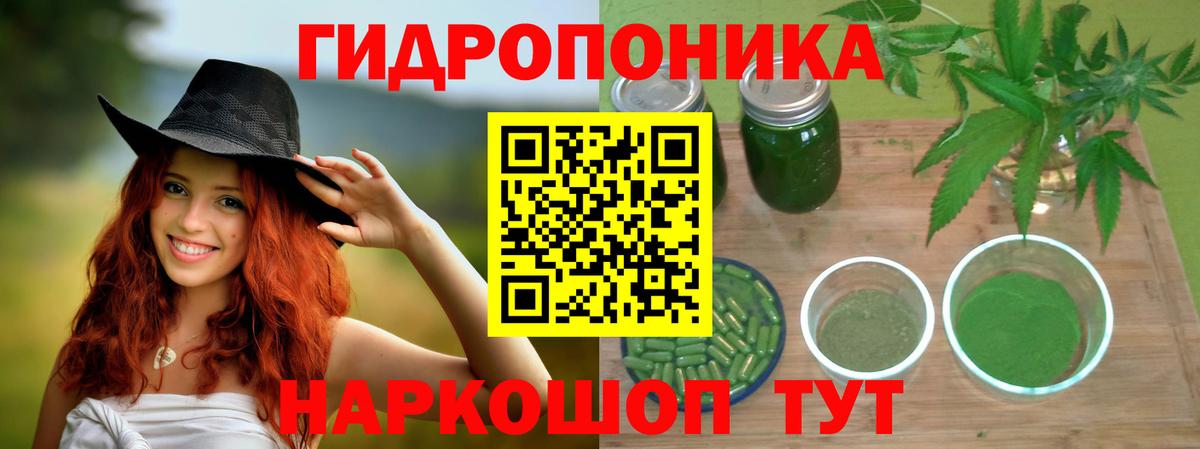 Канабис сатива  Марихуана индика  Качканар  Вход с VPN 